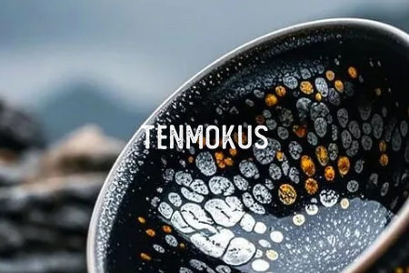 TENMOKUS 建盏